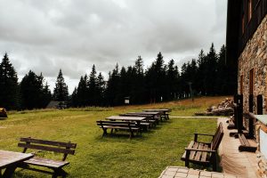 dsc 9071